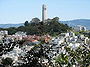 Telegraph Hill (San Francisco)