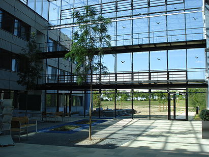 Max Planck Institute for Gravitational Physics