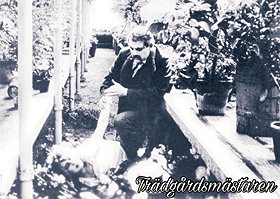 The Gardener (1912)