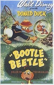 Bootle Beetle