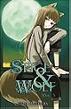 Spice and Wolf, Vol. 3