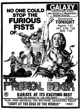 Kung Fu: The Punch of Death (The Prodigal Boxer)