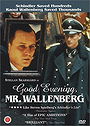 God afton, Herr Wallenberg                                  (1990)