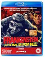 Frankenstein and the Monster from Hell (DVD + Blu-ray)