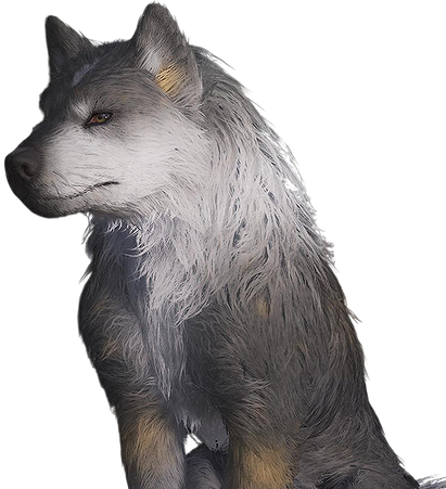 Torgal