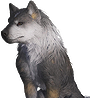 Torgal