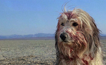 Blood (A Boy and his Dog)
