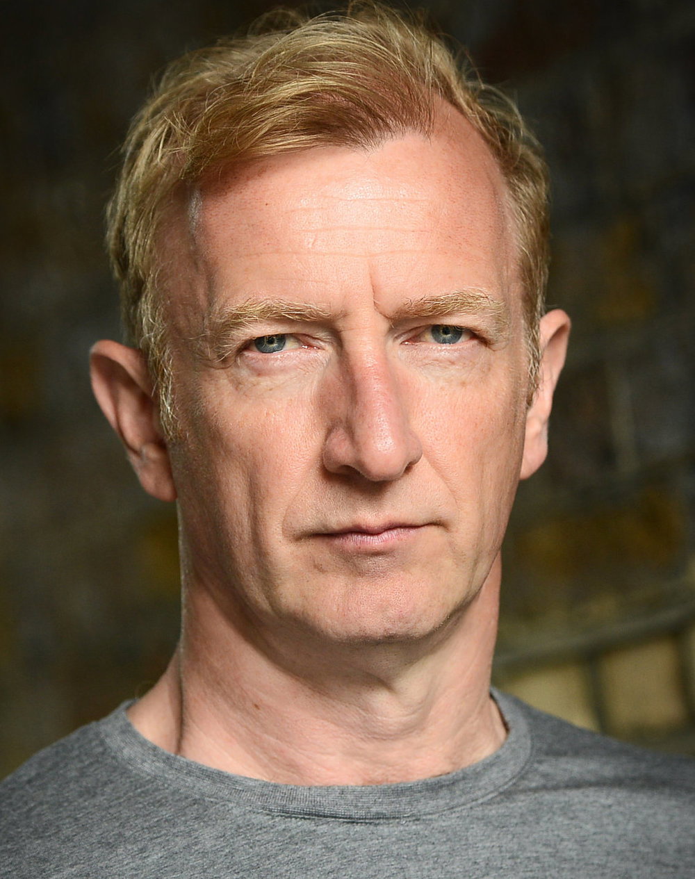 Steffan Rhodri