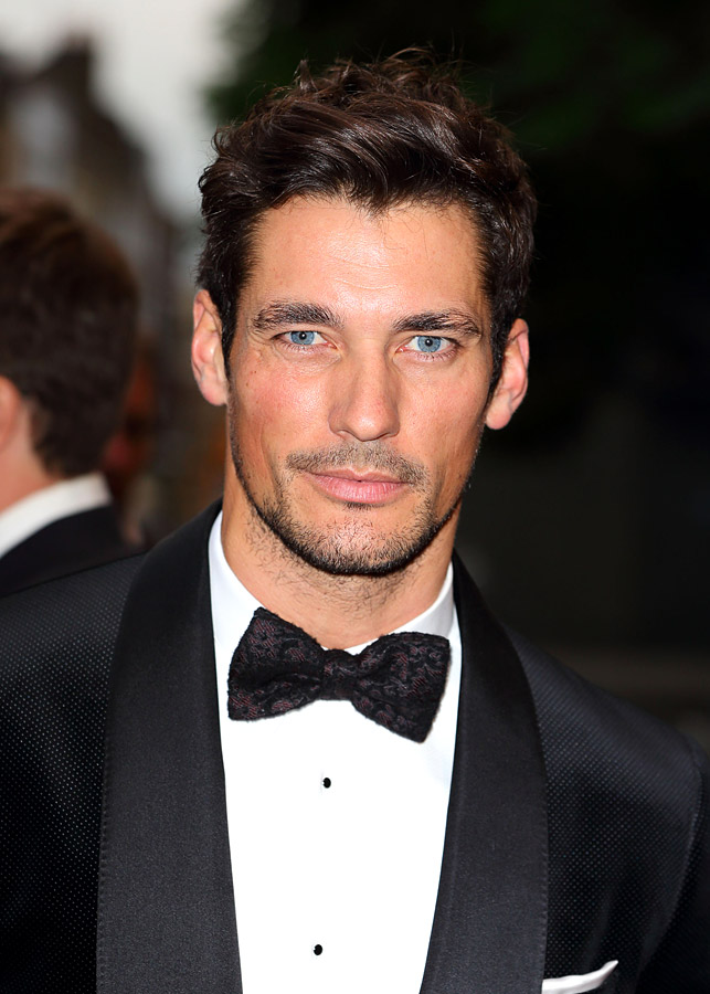 David Gandy