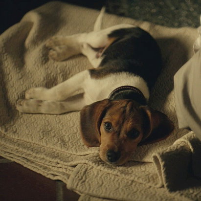Daisy (John Wick)