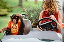 MXP: Most Xtreme Primate