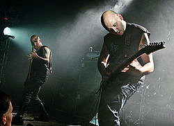 Angelcorpse
