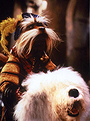 Sir Didymus