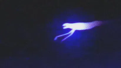 The Ningen
