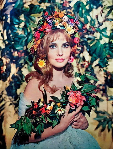 Gina Lollobrigida
