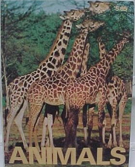 Animals