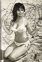 Teri Tordai pictures and photos
