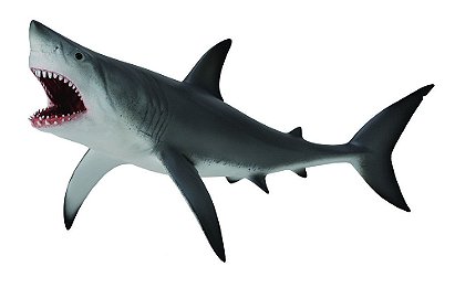Collect A Sea Life Great Open Jaw White Shark
