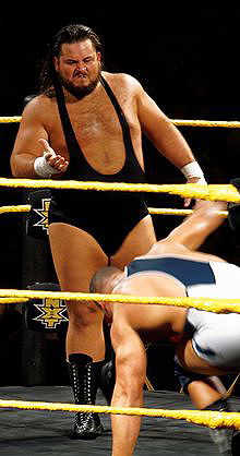 Bull Dempsey