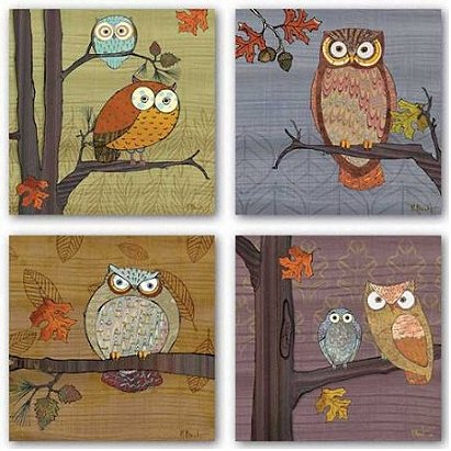 Awesome Owls Set by Paul Brent