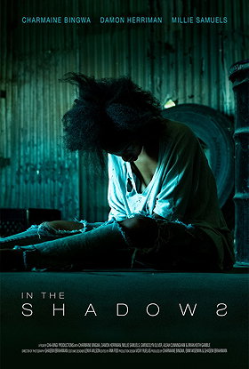 In the Shadows (2019)