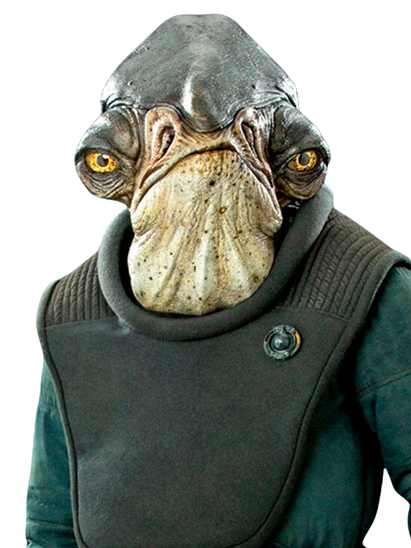 Raddus