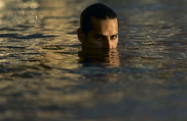 Dino Morea