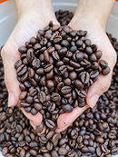 Best Green Coffee Beans In Indonesia