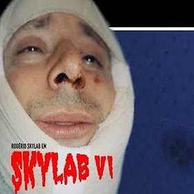 Skylab VI