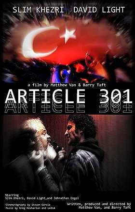 Article 301