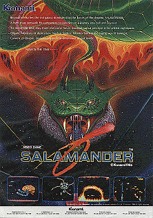 Salamander