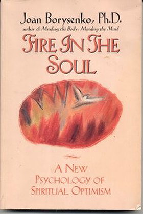 Fire in the Soul: A New Psychology of Spiritual Optimism
