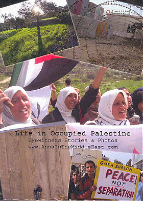 Life in Occupied Palestine: Eyewitness Stories  Photos