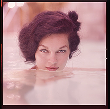 Linda Vargas pictures and photos