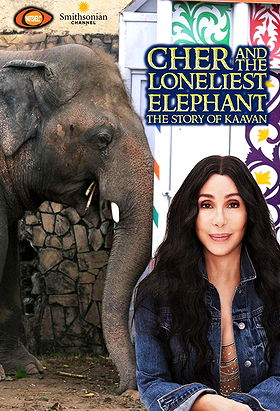 Cher and the Loneliest Elephant