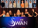 The Swan                                  (2004-2005)
