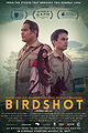 Birdshot