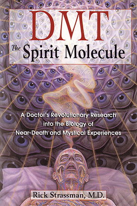 DMT—The Spirit Molecule: A Doctor's Revolutionary Research into the Biology of Near-Death and Mystical Experiences