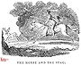 The Horse and The Stag