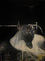Francis Bacon : Head I (1948)