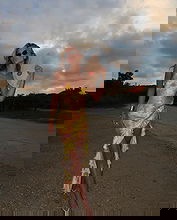 Kiara Amato pictures and photos