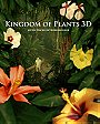 Kingdom of Plants 3D