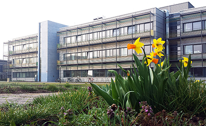 Max Planck Institute of Molecular Plant Physiology