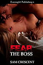 Fear the Boss (Deadly Duet #1) 