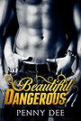 Beautiful Dangerous 