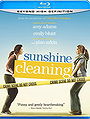 Sunshine Cleaning 