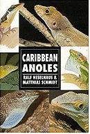 Caribbean Anoles (Herpetology series)