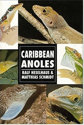 Caribbean Anoles (Herpetology series)