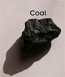 Coal