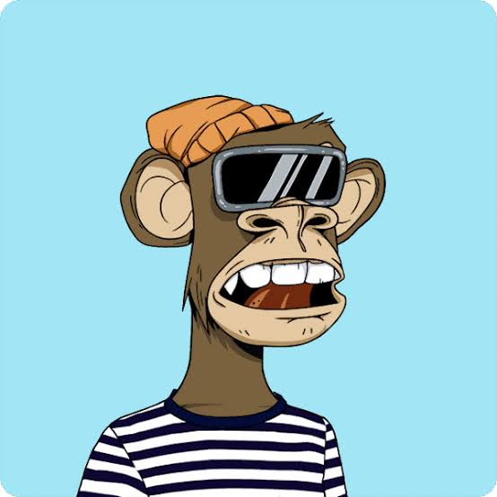 drnobody